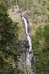 Kondalilla Falls waterfall in Queensland Sunshine Coast Australi