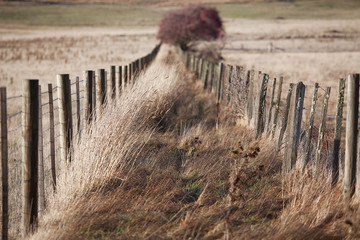 Rural Fence