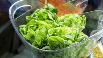 fresh green lettuce