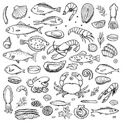 Seafood hand drawn doodle elements