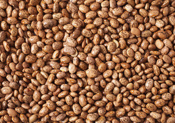 background of pinto beans