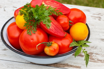 Tomatoes with green leaves and parsley in metal bowl in garden on sunny day