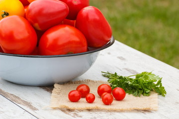 Tomatoes with green parsley on wooden table in garden on sunny day