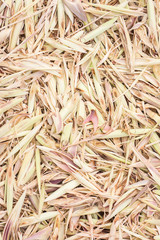 Sliced and Dried Lemongrass.