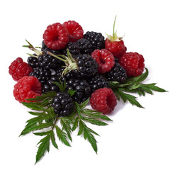 Raspberry with blackberry on a white background