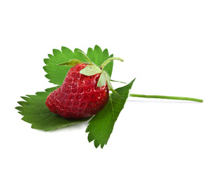 Strawberries with leaves. Isolated on a white background.