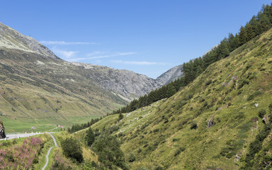 Obraz premium beautiful switzerland background with grass and typical houses