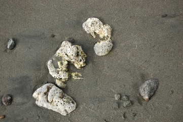Stones embeded in the beach sand photo image