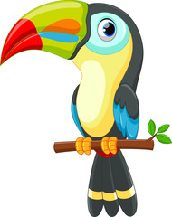Cute toucan bird cartoon © irwanjos