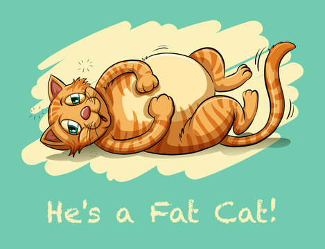 Saying he's a fat cat
