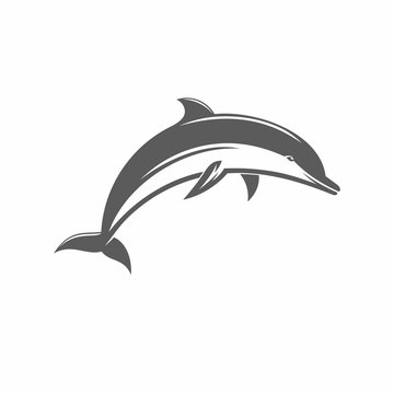 Jumping dolphins vector ilstration  / Vector illustration, Dolphin, Jumping, Silhouette, Aquatic Mammal, Vector,