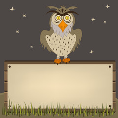 owl on banner