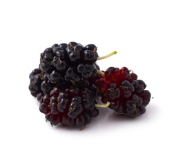 Ripe fresh Mulberry on a white background