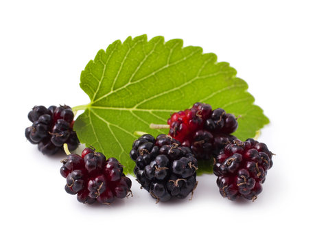 Ripe fresh Mulberry on a white background