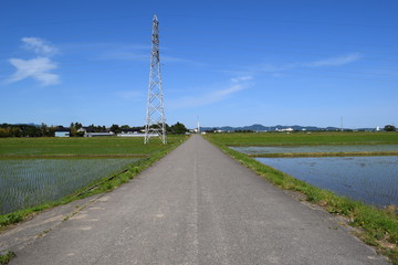 Fototapeta na wymiar 農道と田園風景／山形県の庄内地方で、農道と田園風景を撮影した写真です。