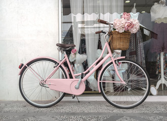 Fototapeta na wymiar Bicycle Love