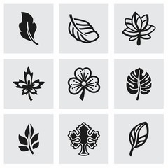 Vector Leaf icon set