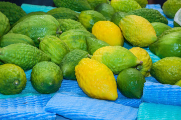 The citron fruit - Etrog laid out for sale