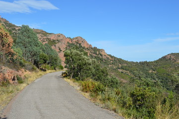 Piste dans l'Esterel