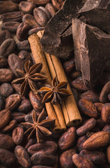 Raw cocoa beans, black chocolate, cinnamon sticks, star anise