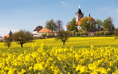 church and golden rapeseed field