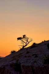Rock island at golden sunset in Brela, Croatia