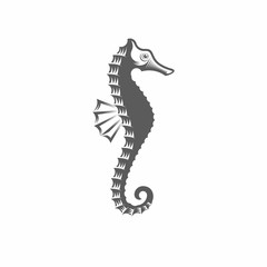 Seahorse black and white vector illustration / Vector illustration, Seahorse, Sea animals, Underwater, Black and white