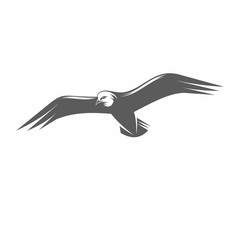 Seagull in flight vector illustration / Vector illustration, Birds, Seagull, Tattoo, Gull, Flight, Sea Bird