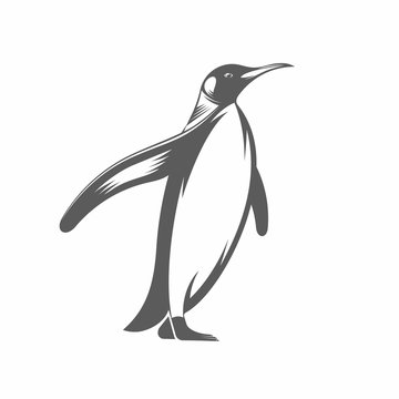 Penguin vintage vector illustration / Vector illustration, Penguin, Animal, Bird, Sign, Retro Styled, Silhouette