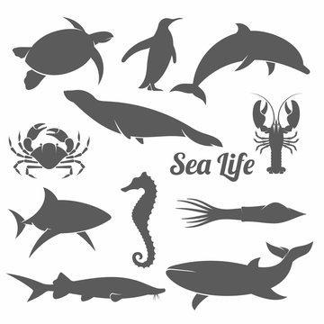 Minimal sea animals silhouette vector illustration /  Sea animals, Minimal, Icons, Underwater, Crab; Squid; Seahorse; Penguin; Seagull; Whale; Lobster; Shark; Turtle; Fur seal; Dolphin; 