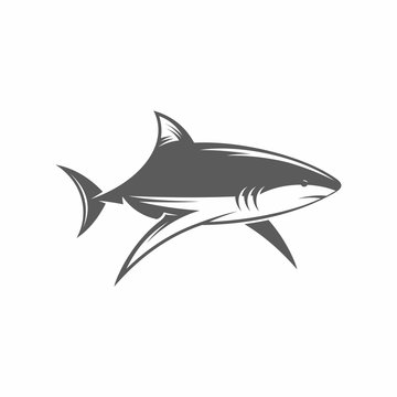 Shark in water vector illustration / Vector illustration, Shark, Tattoo, Vintage, Underwater, Fish, Animals
