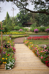 Beautiful flower garden with bamboo path
