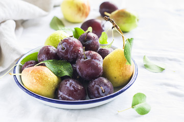 fresh plums and pears on a white enamel plate on a light background © okkijan2010