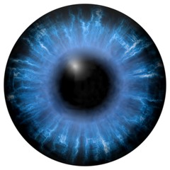 Illustration of blue eye iris, light reflection. Middle size of open eyes.