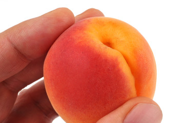 Un abricot en main