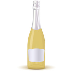 Bottle of champagne