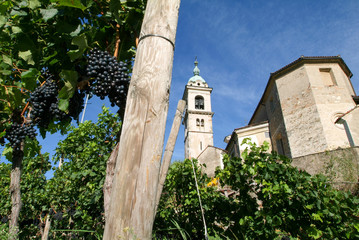 The church of Sant Abbondio at Gentilino