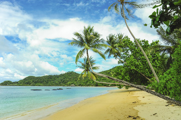 tropical beach