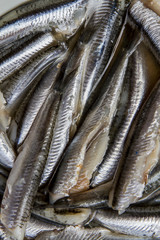 Fototapeta premium boquerones para cocinar, pescado crudo