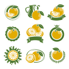 Grapefruit labels and elements set. Vector