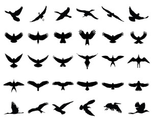 Black silhouettes of birds in flight, vector 