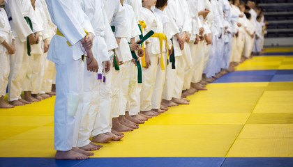 Group of children in kimono standing on tatami on martial arts training seminar