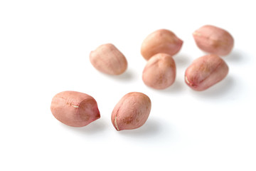 raw peanut kernel on white, (large depth of field, taken with tilt shift lens)