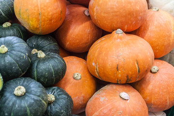 Colorful of pumpkins collection on the autumn market