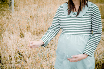 Happy family: a young beautiful pregnant woman walking in the wh