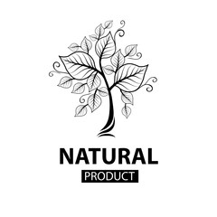 Vector design elements for organic natural logo
