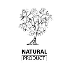 Vector design elements for organic natural logo
