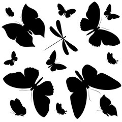 butterflies design
