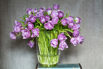 Purple tulips in vase