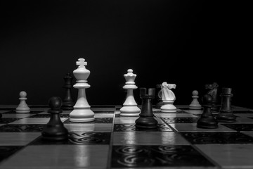 Scacchi fotografati su una scacchiera